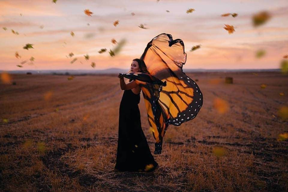 Monarch Butterfly Wings Cape: Chiffon Fairy Festival Costume - Thumbnail 6