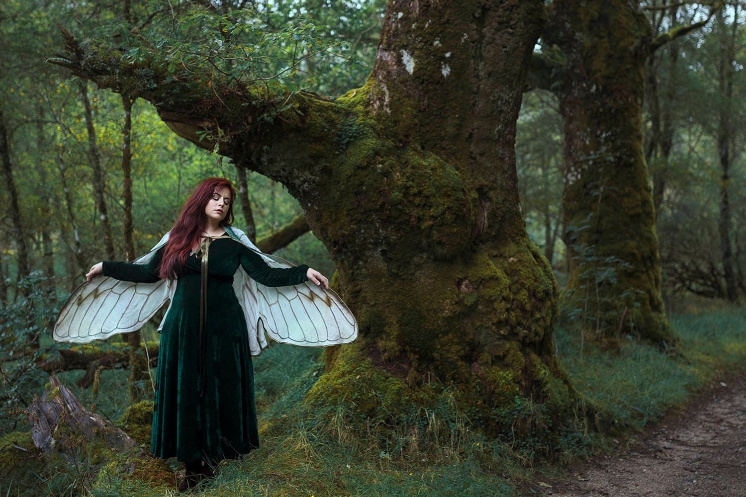 Fairy Wings Cape: Cicada Costume, Festival Clothing - Image 1