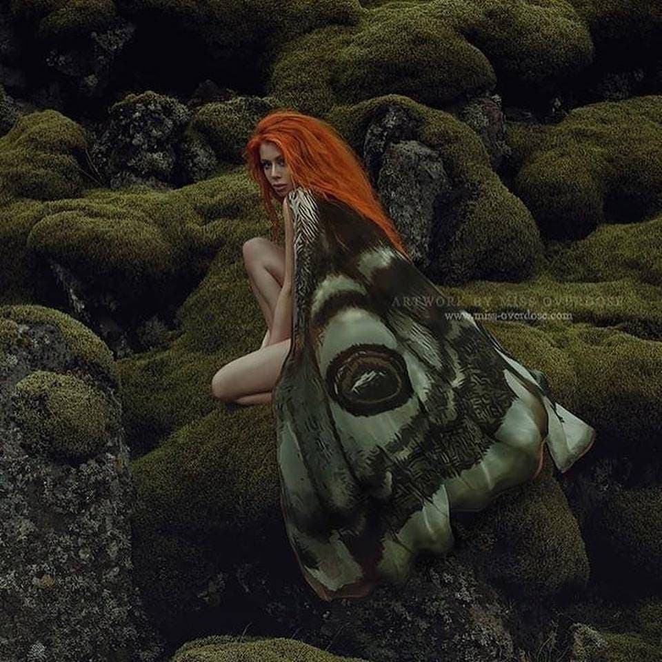 Moth Wing Costume Cape - Festival Fairy Wings Clothing - Thumbnail 7