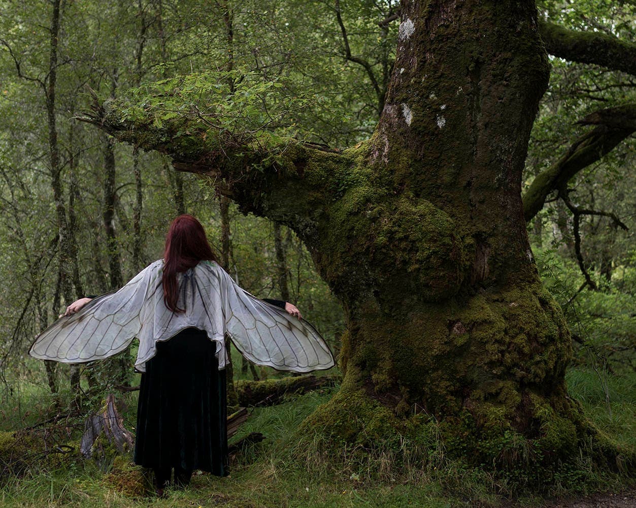 Fairy Wings Cape: Cicada Costume, Festival Clothing - Thumbnail 8