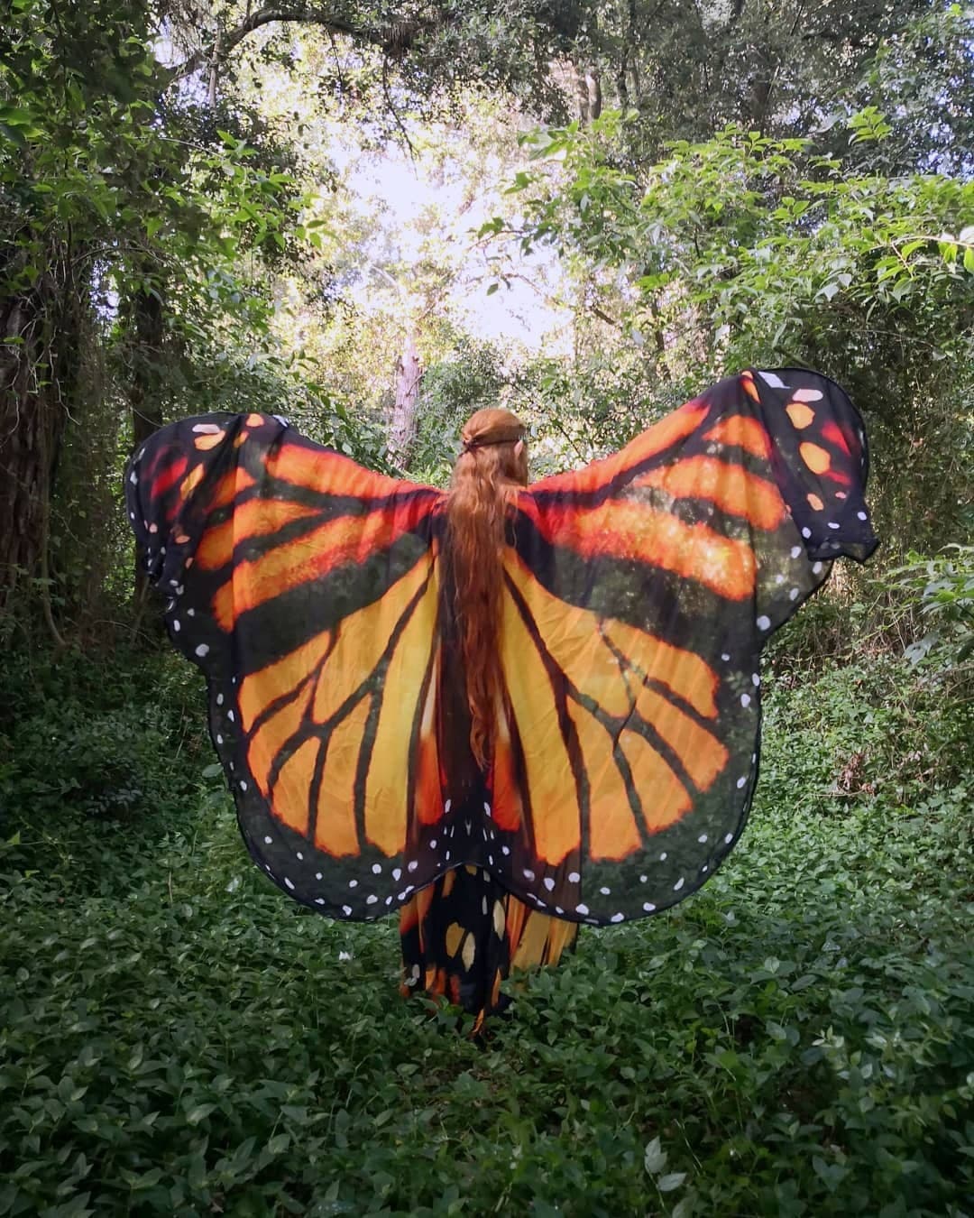 Monarch Butterfly Wings Cape: Chiffon Fairy Festival Costume - Thumbnail 8