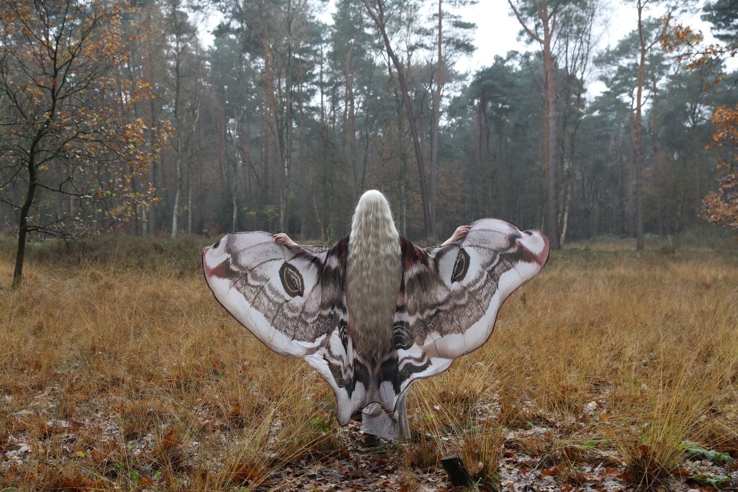 Moth Wing Costume Cape - Festival Fairy Wings Clothing - Thumbnail 10